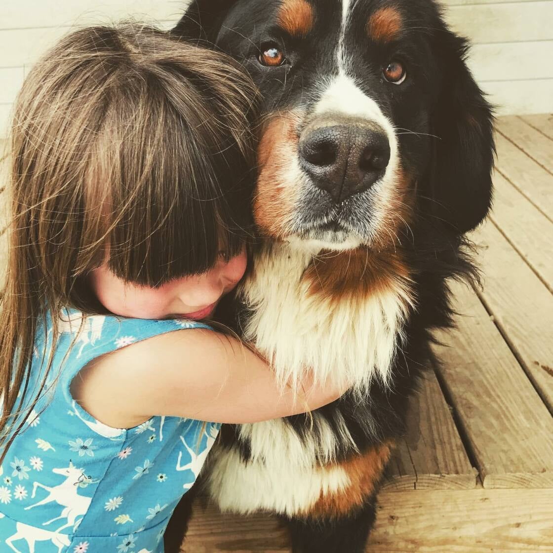 Bernese mountain dog and fashion kids